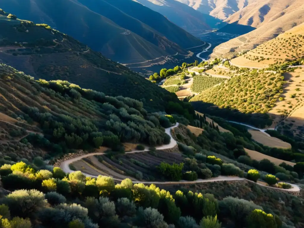 Un paisaje dorado de la Alpujarra Granadina al atardecer, con un sendero serpenteante que atraviesa valles y olivares antiguos